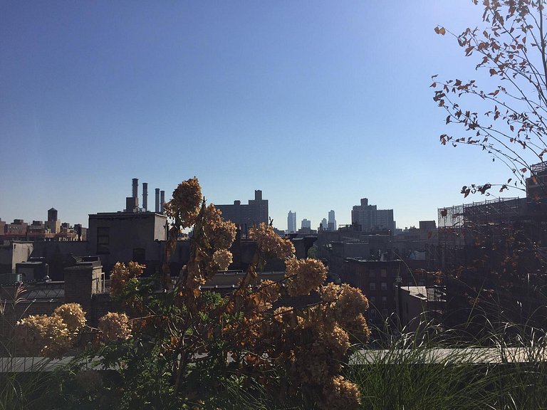 Penthouse in East Village, Manhattan | NY100