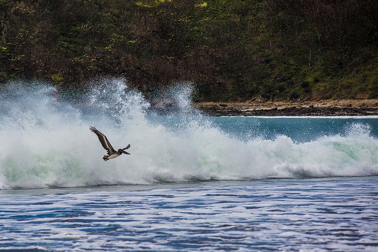 Morgan's Rock | Nicaragua