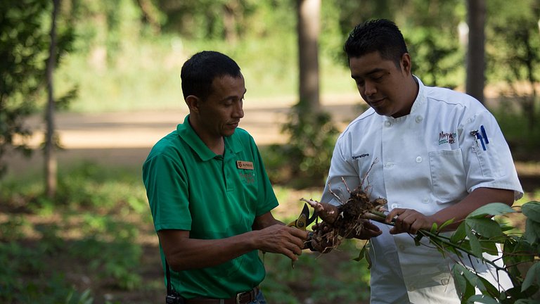 Morgan's Rock | Nicaragua