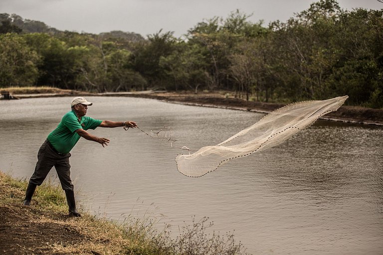Morgan's Rock | Nicaragua