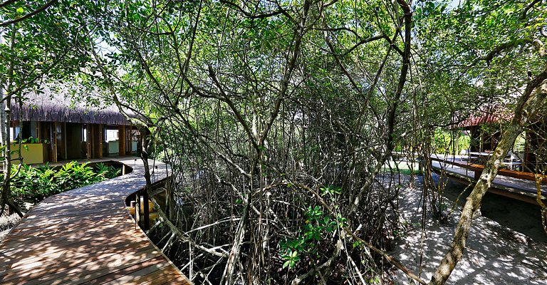 Affitto stagionale casa fronte mare a Trancoso, Bahia