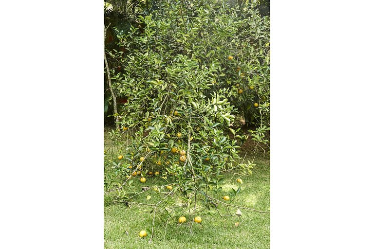 Vacation Rental Villa in Angra dos Reis RJ Brazil