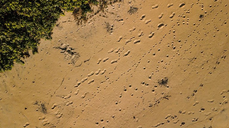 Vacation Rental Villa in Angra dos Reis RJ Brazil