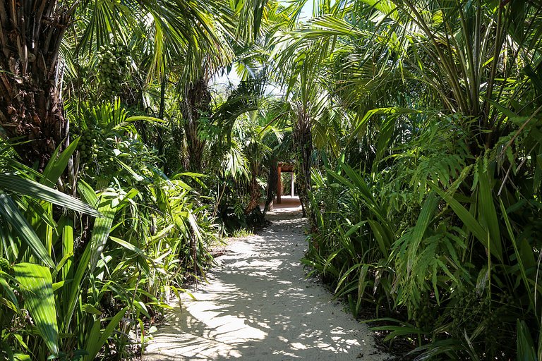 Vila Floresta | Trancoso