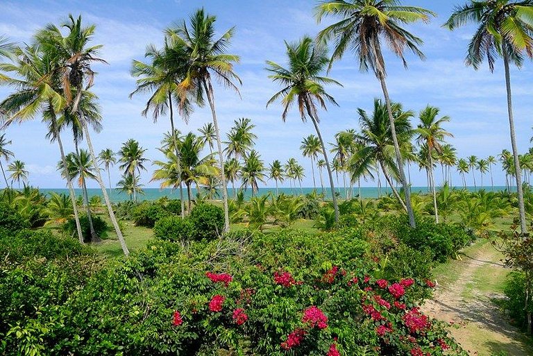 mahnai.com, short term rental, vacation homes, bahia rental