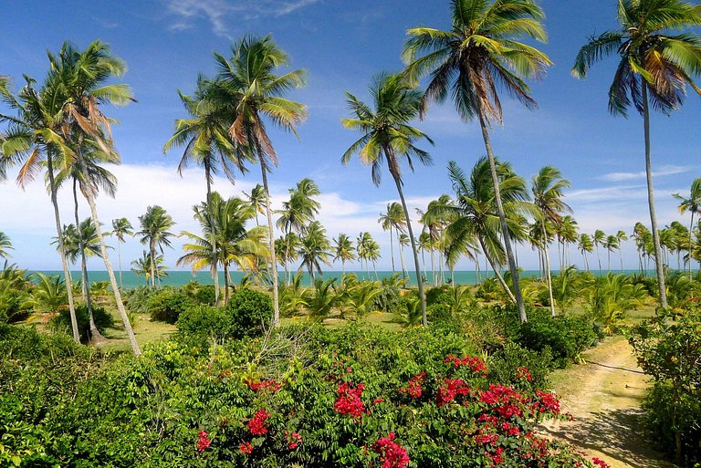 Casa para temporada Maraú Bahia