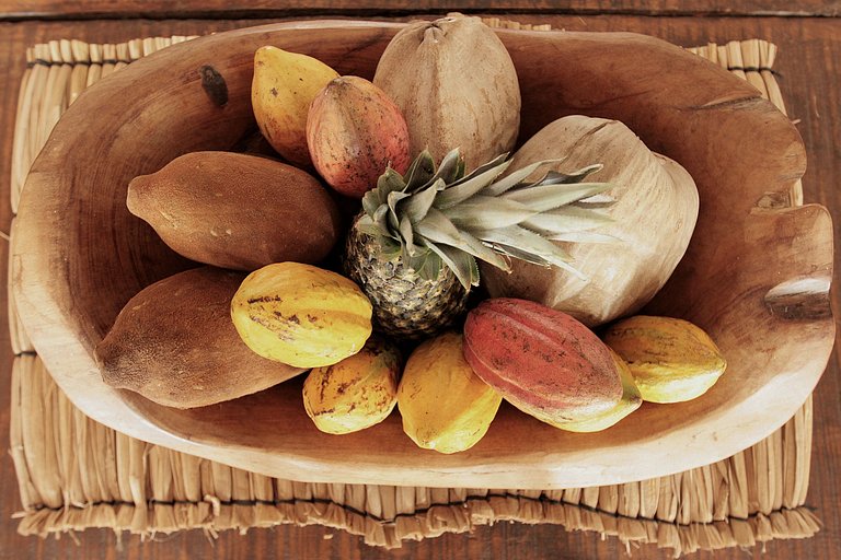 Rental house itacare, Rental Villa itacare, house itacare