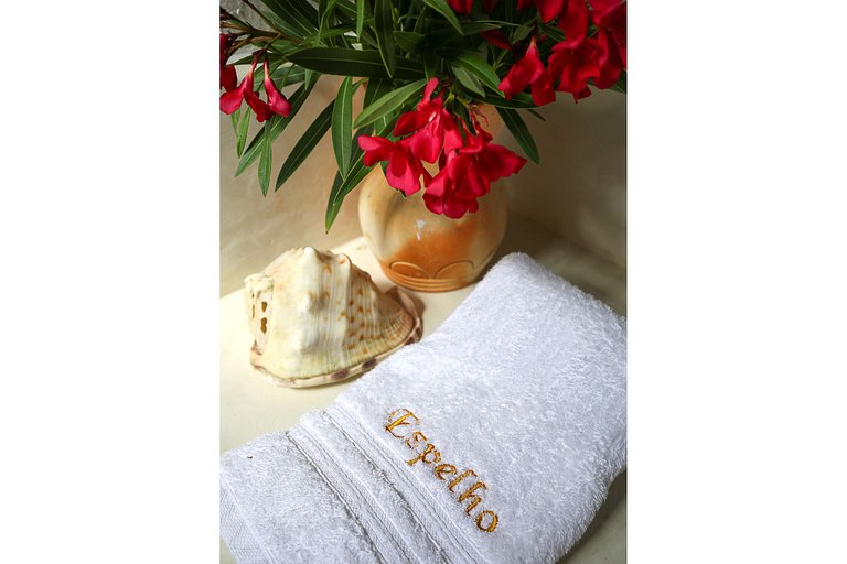 Fazenda Espelho da Maravilha - Haus in der Mitte | BAH039