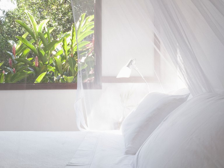 Rental house Ilha Grande, Rental Villa rio, house rio, angra