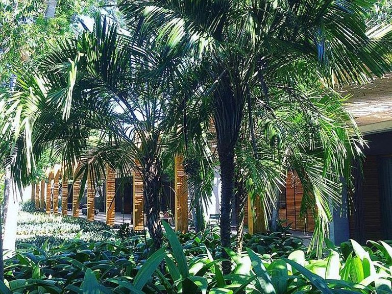 Vila Contemporânea | Trancoso