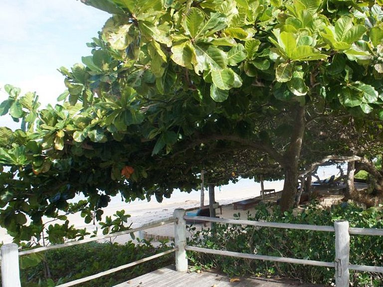 Maison de luxe à louer à Trancoso, Bahia