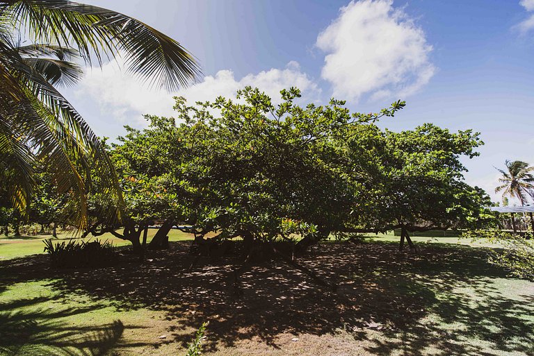 Rental house Icaraí de Amontada Ceará Brazil