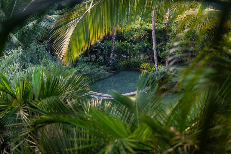Casa vacanze di lusso sulla spiaggia a Trancoso, Bahia