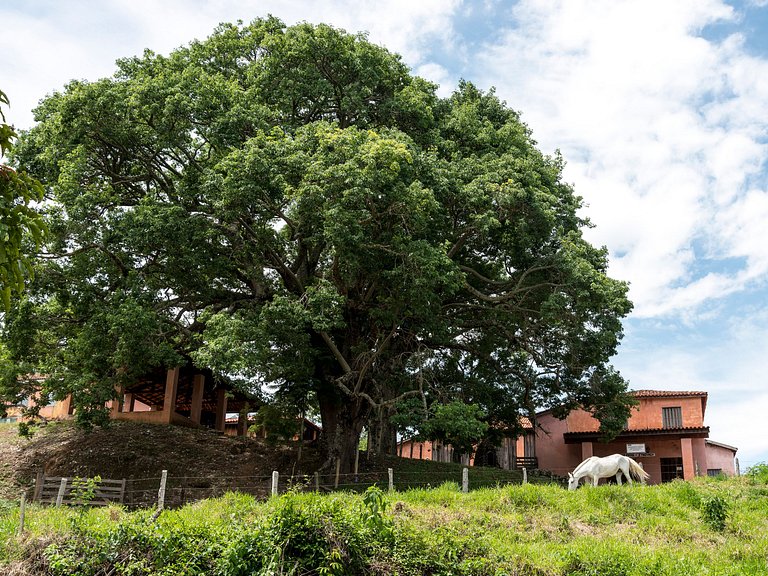 Casa da Pedra | MG113