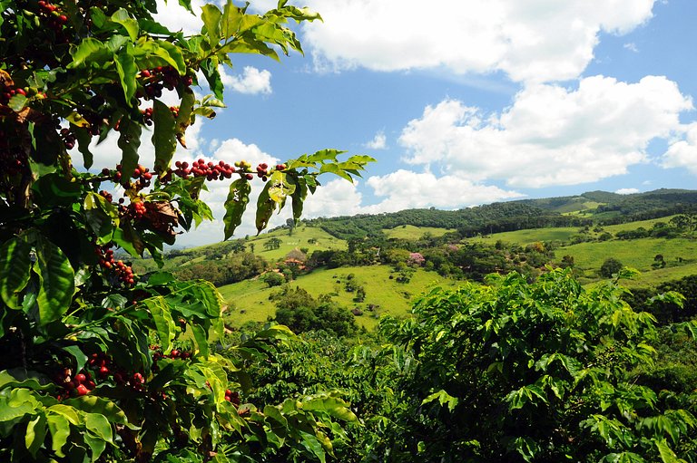 Vacation Rental Villa in Minhas Gerais