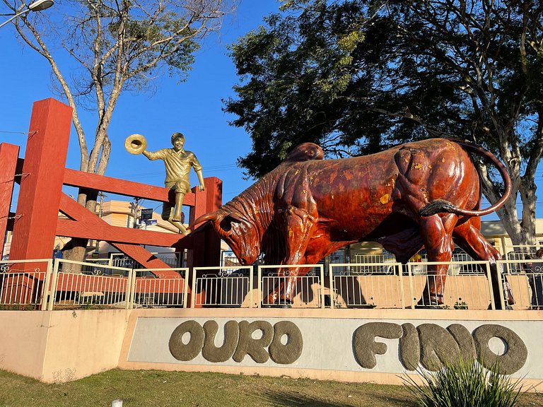 Vacation Rental Villa in Minhas Gerais