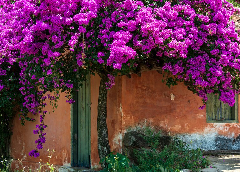 Vacation Rental Villa in Minhas Gerais