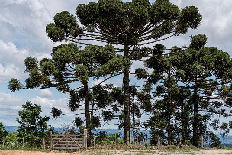 Vacation Rental Villa in Minhas Gerais