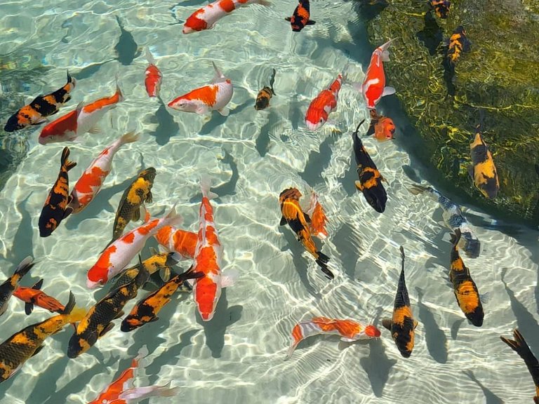 Rancho da Montanha Aluguel por Temporada na Serra do Rio