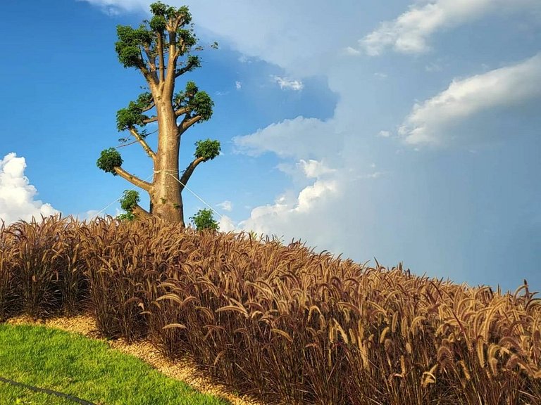Rancho da Montanha Aluguel por Temporada na Serra do Rio