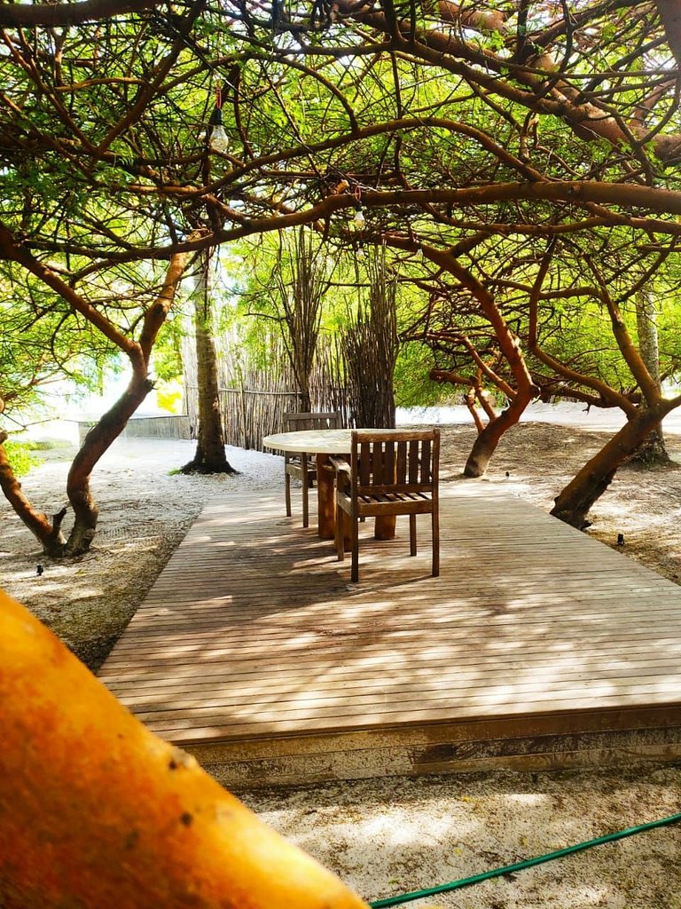 home rental, house Hotel in São Miguel dos Milagres