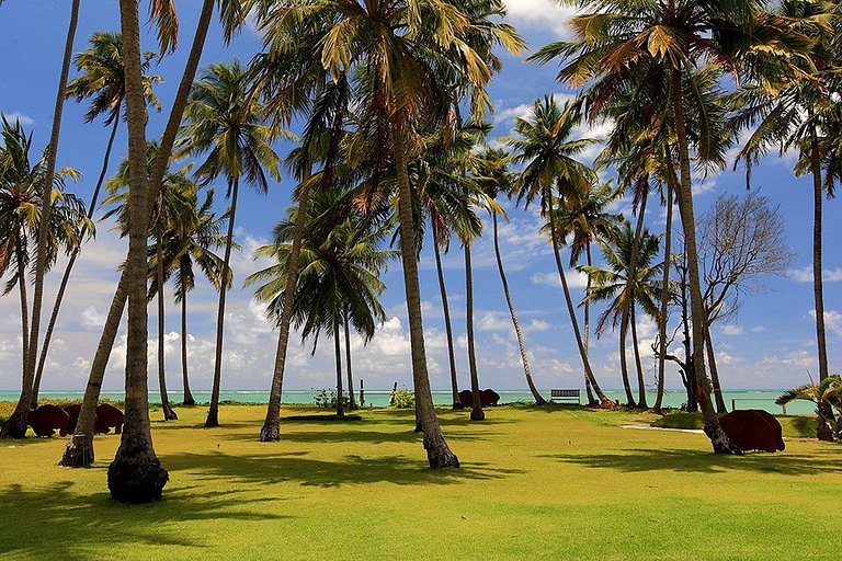 home rental, house Hotel in São Miguel dos Milagres