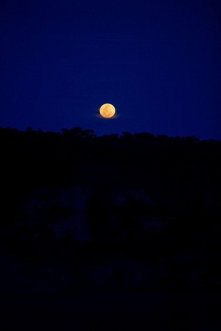 Vacation Rental Villa in Ponta do Juacema Bahia Brazil