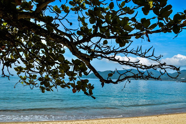 Vacation Rental Villa in Bonete Beach Ubatuba