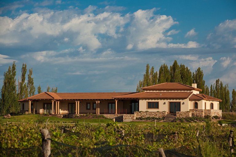 Algodón Wine Estates | ARG002