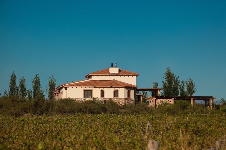 Algodón Wine Estates | ARG002