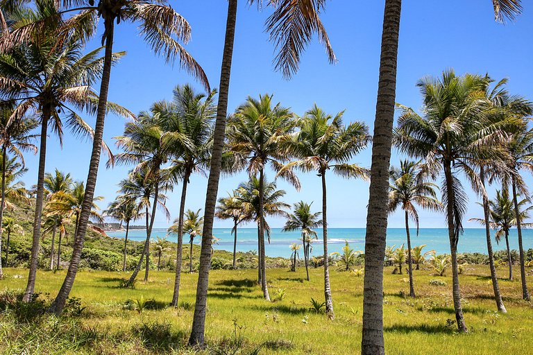 Aluguel na praia Praia do Espelho Bahia Brazil