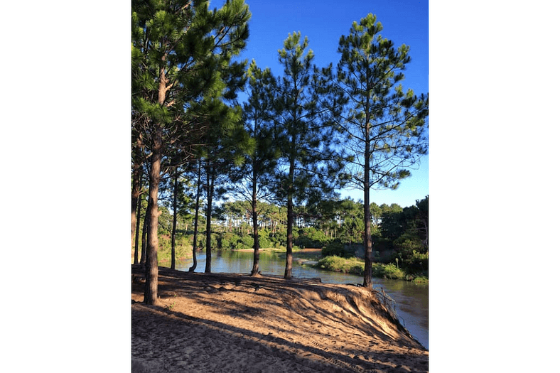 aluguel temporada, uruguai, Punta Del Este, vila, casa punta