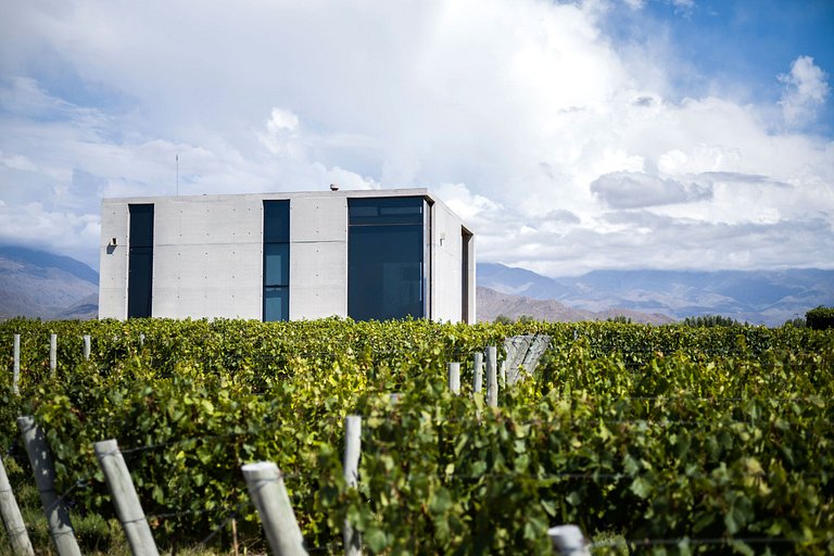 Casa de Uco Vineyard & Wine Resort - Argentina - Mendoza