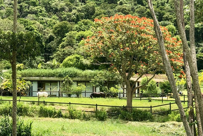 Casa para temporada Região Serrana Petrópolis Rio de Janeiro